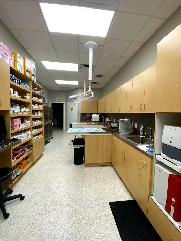 Sunshine Veterinary Hospital 12