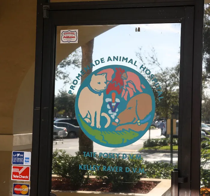Promenade Animal Hospital 12