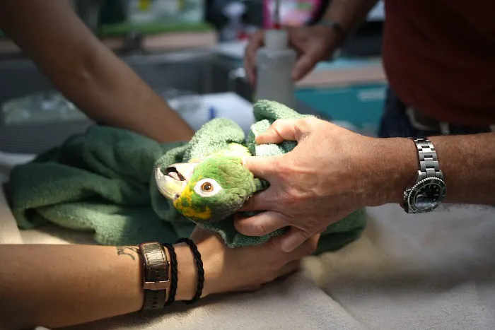 Promenade Animal Hospital 12