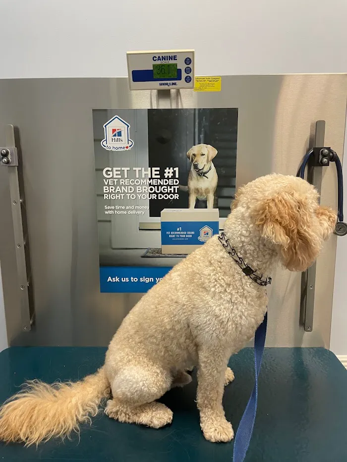 Donald Ross Village Animal Hospital 12