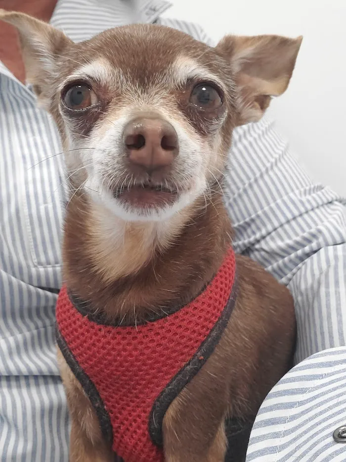 Fondren Pet Care Center 12