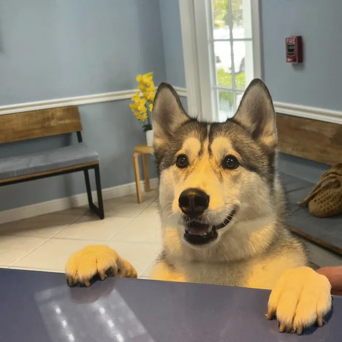 Jupiter Veterinary Hospital & Urgent Care 12