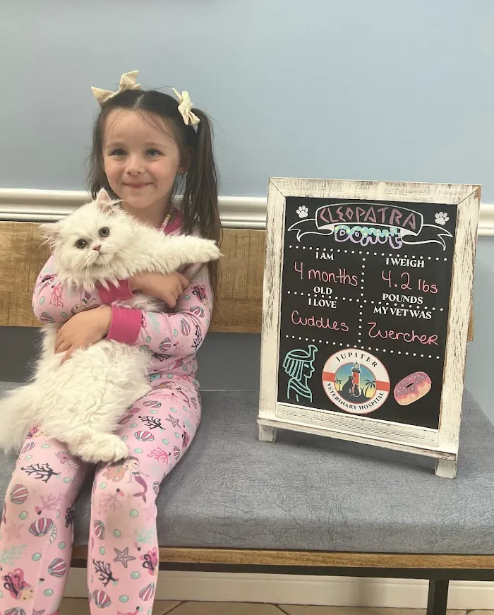 Jupiter Veterinary Hospital & Urgent Care 12