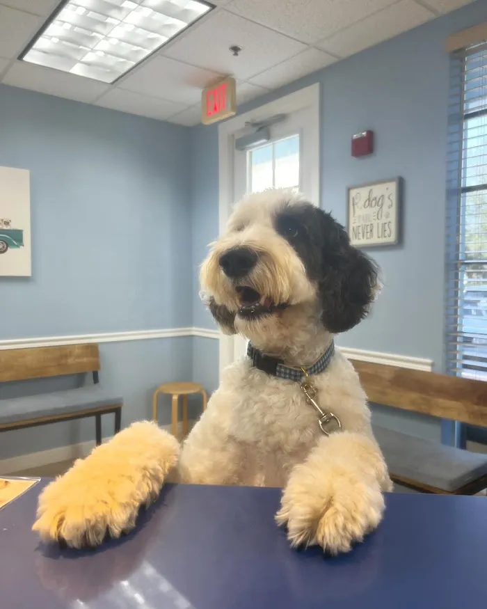 Jupiter Veterinary Hospital & Urgent Care 12