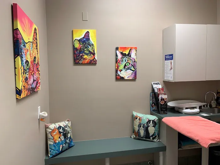 Lifetime Veterinary Center 12