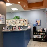 Lifetime Veterinary Center ico