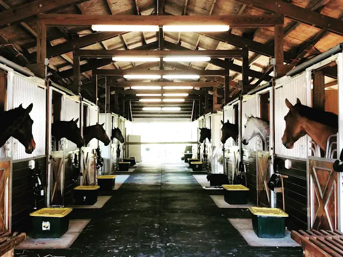 WellGrove Equine 12