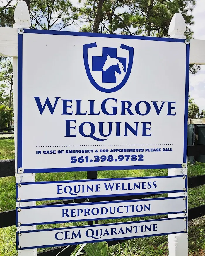 WellGrove Equine 12