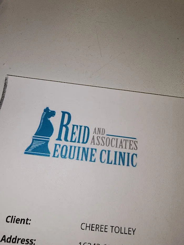 Reid and Associates Equine Clinic 12