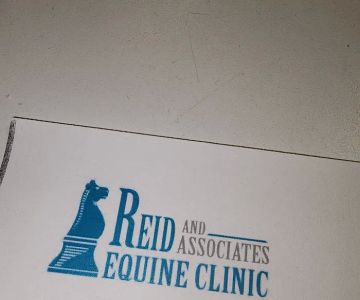 Reid and Associates Equine Clinic