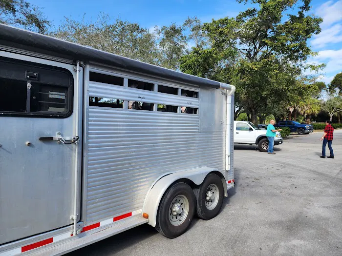 Reid and Associates Equine Clinic 12