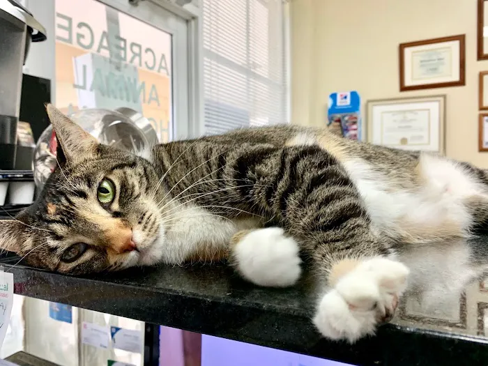 Acreage Animal Clinic 1