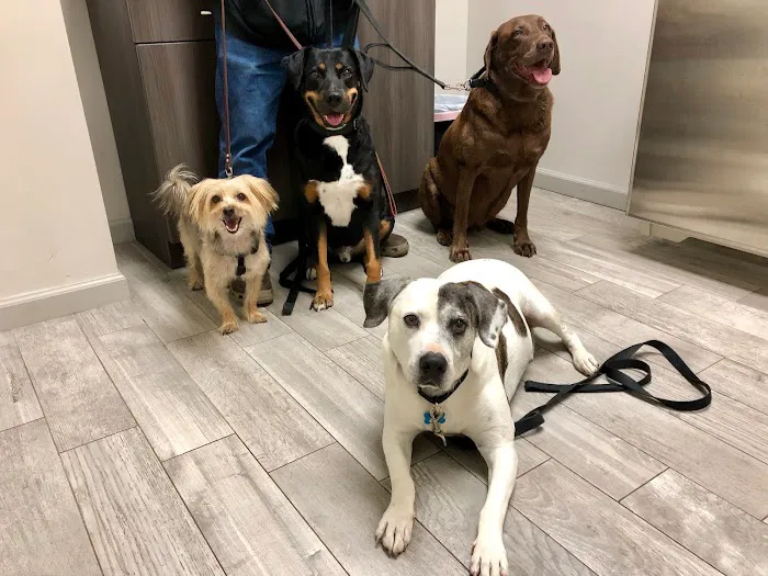 PGA Animal Clinic 12
