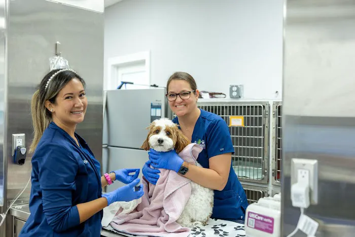 Gardens Animal Hospital 12