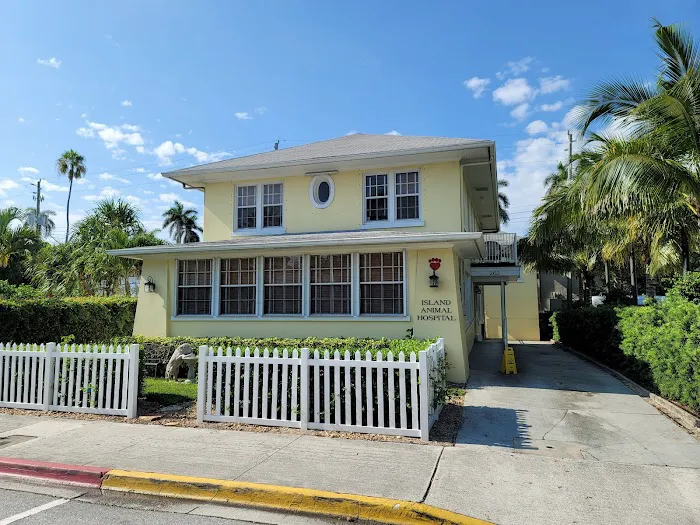 Island Animal Hospital 12