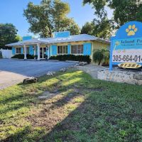 Island Paws Veterinary Hospital ico