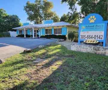 Island Paws Veterinary Hospital