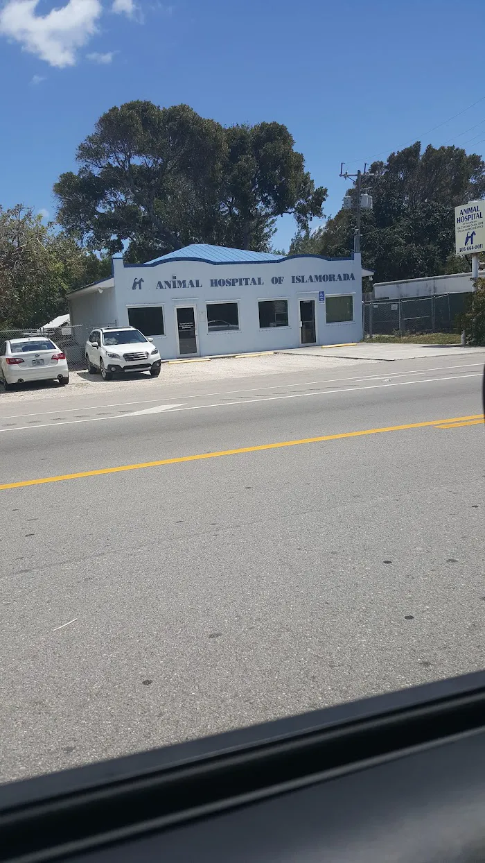 The Animal Hospital of Islamorada 12
