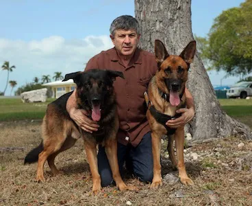 The Animal Hospital of Islamorada 12