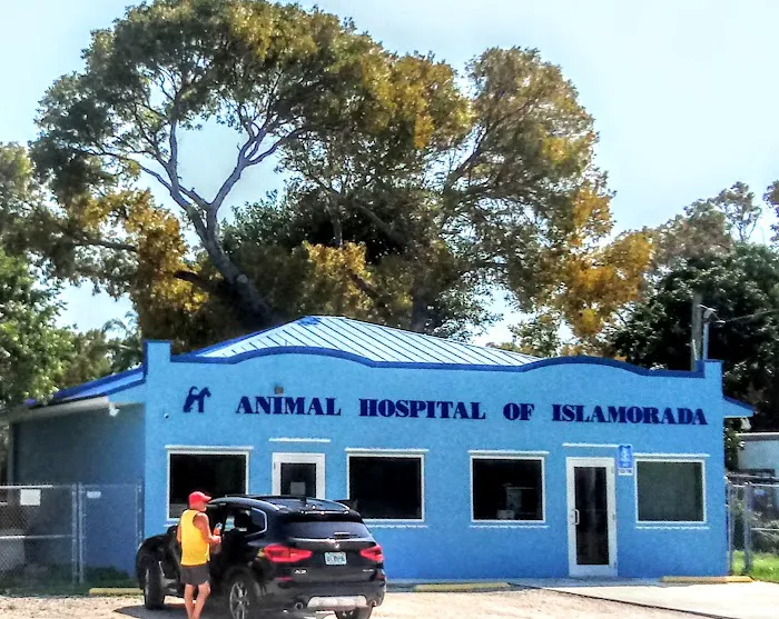 The Animal Hospital of Islamorada 12