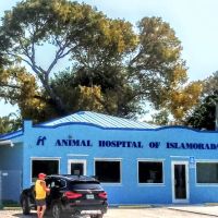 The Animal Hospital of Islamorada ico