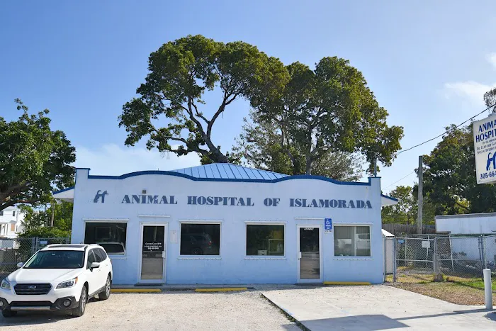 The Animal Hospital of Islamorada 12