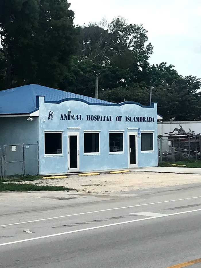 The Animal Hospital of Islamorada 12