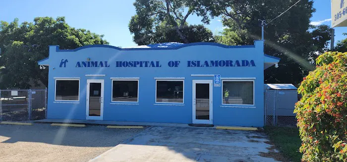 The Animal Hospital of Islamorada 12