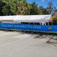Village Animal Clinic ico