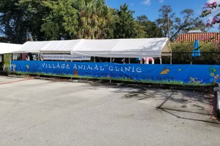 Village Animal Clinic