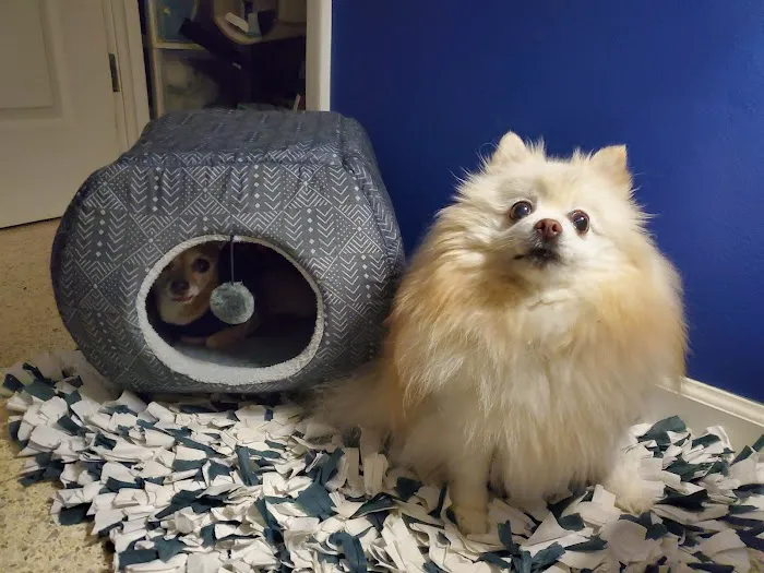 Village Animal Clinic 12