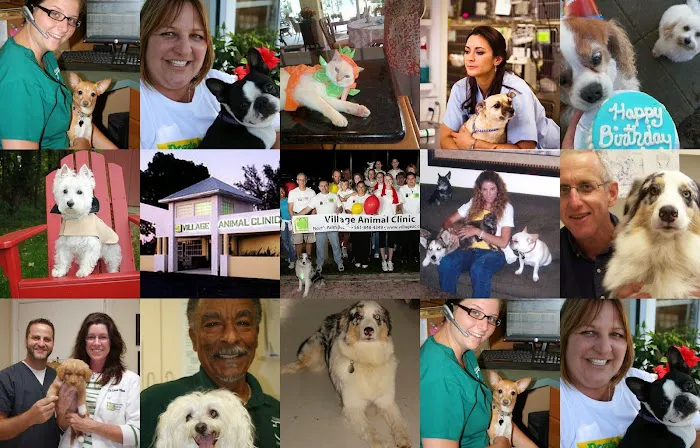 Village Animal Clinic 12