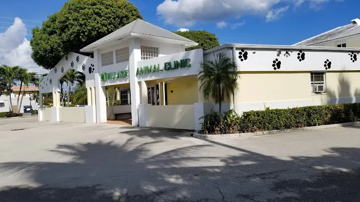 Village Animal Clinic 12