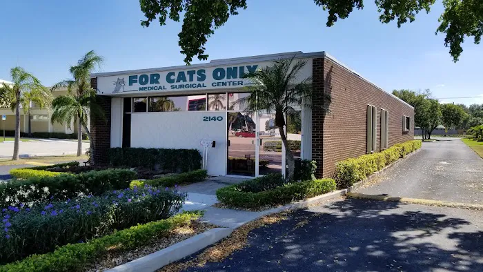 For Cats Only 12