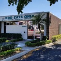 For Cats Only ico