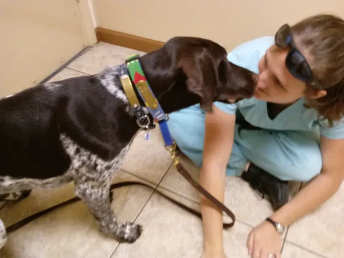 ABCDE Animal Clinic(ALL BIRDS CATS DOGS & EXOTICS) 12