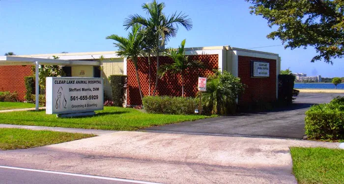 Clear Lake Animal Hospital 12