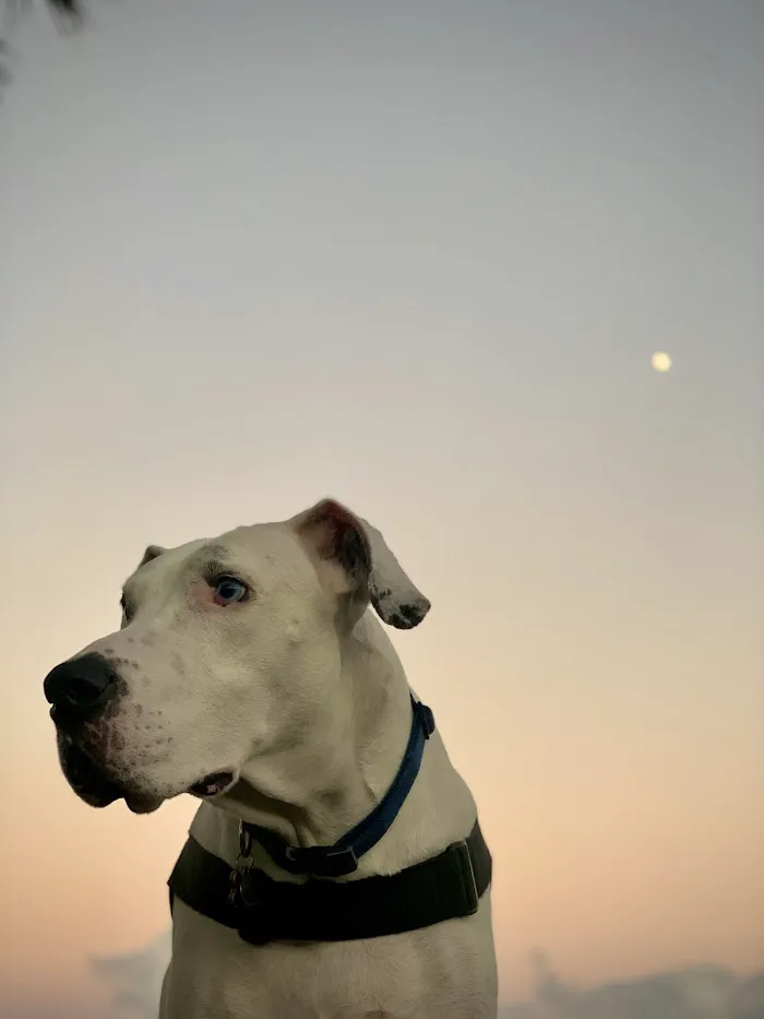 Banfield Pet Hospital 12