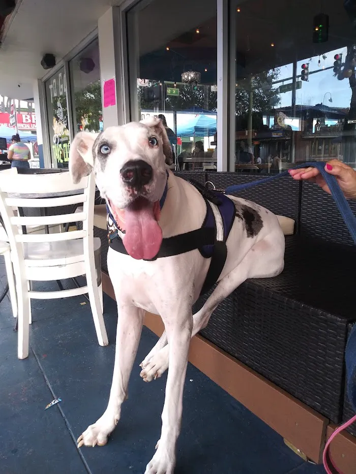 Banfield Pet Hospital 12