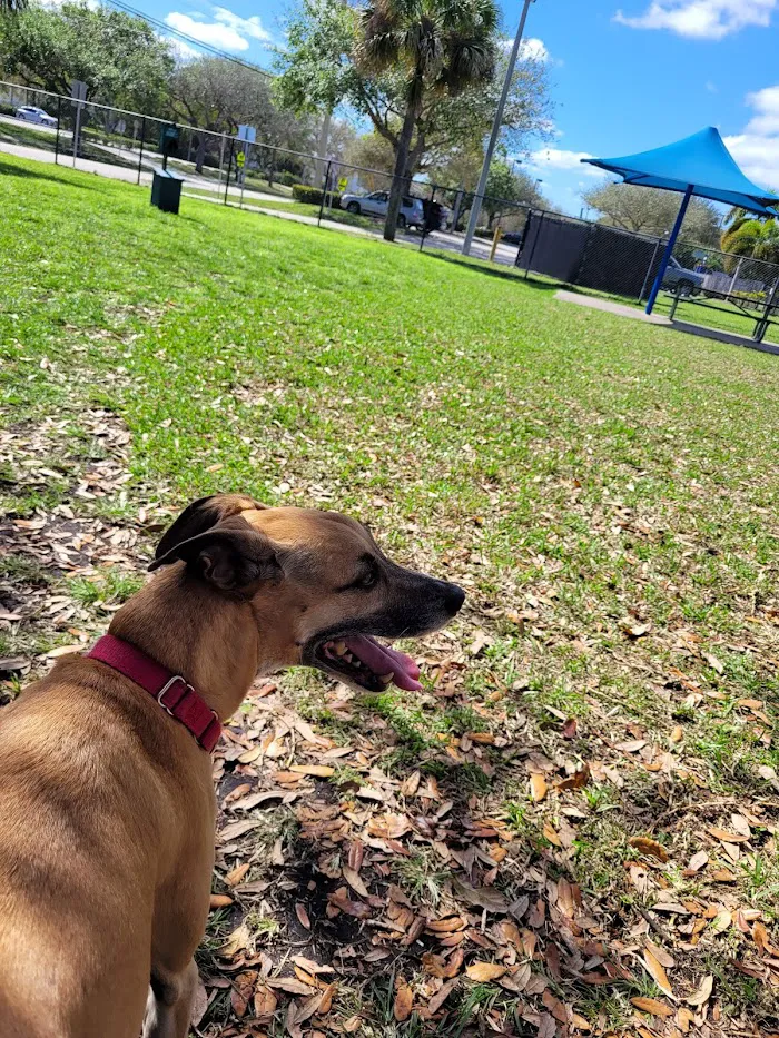 Banfield Pet Hospital 12