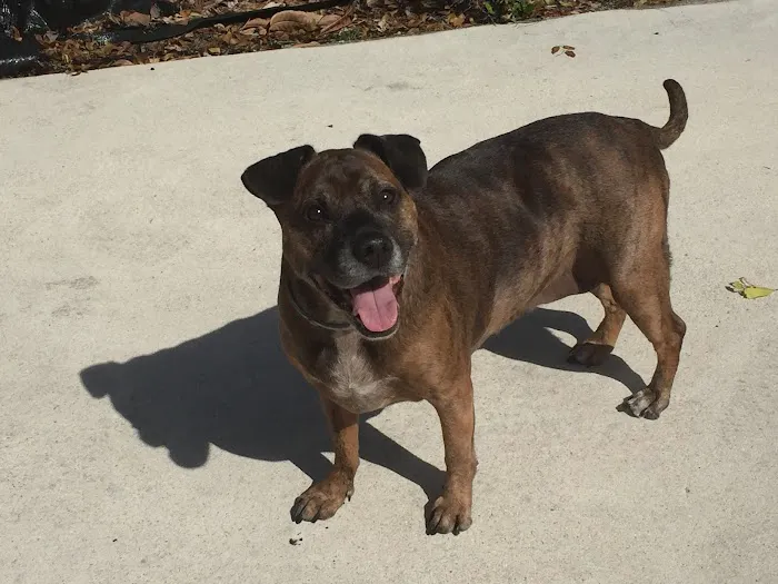 Banfield Pet Hospital 12