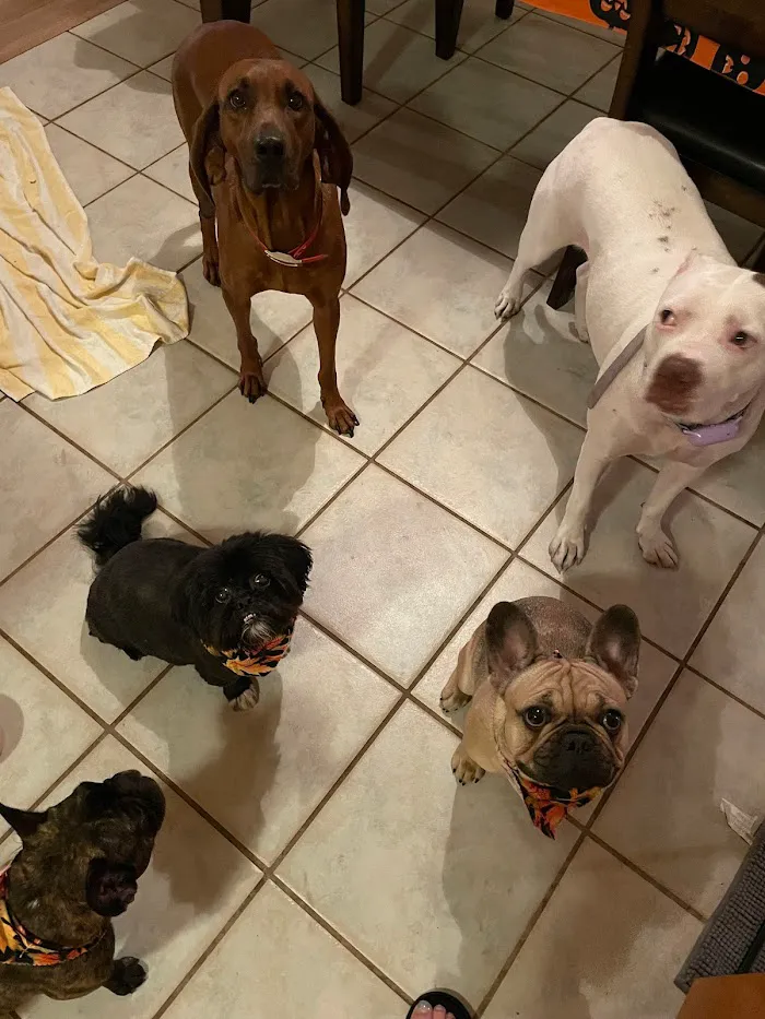 Banfield Pet Hospital 12