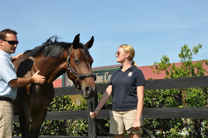 Palm Beach Equine Clinic 12