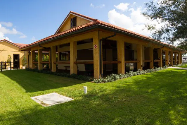 Palm Beach Equine Clinic 12