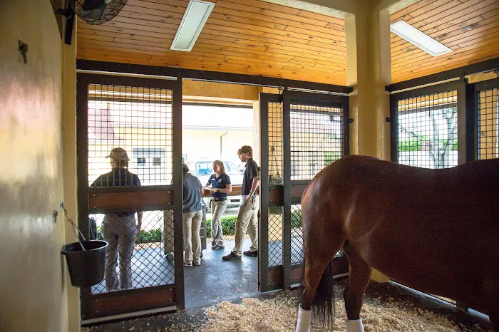 Palm Beach Equine Clinic 12