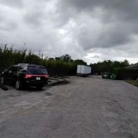 Left Bank Equine ico
