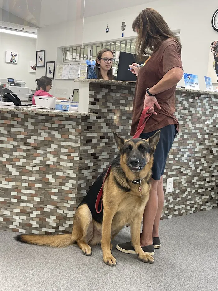 Anzer Animal Hospital 12