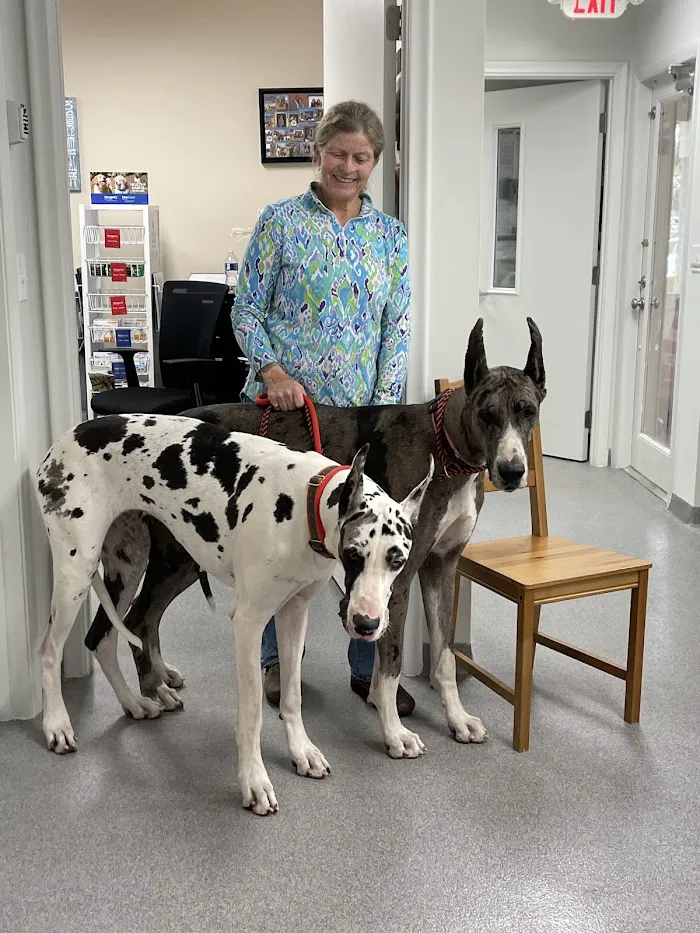 Anzer Animal Hospital 12