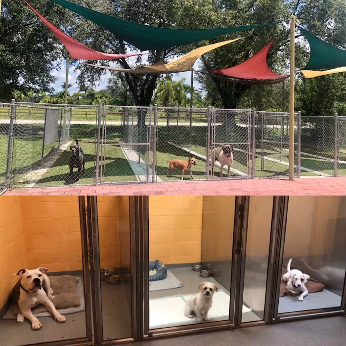 Anzer Animal Hospital 12