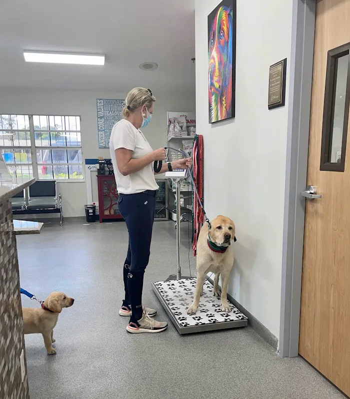 Anzer Animal Hospital 12